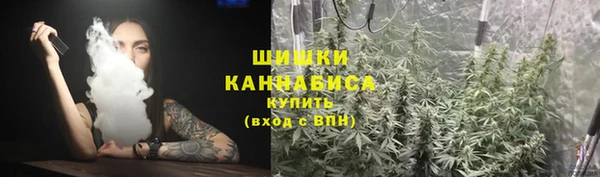 мдма Новозыбков