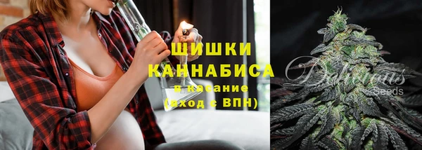 прущие грибы Новокубанск